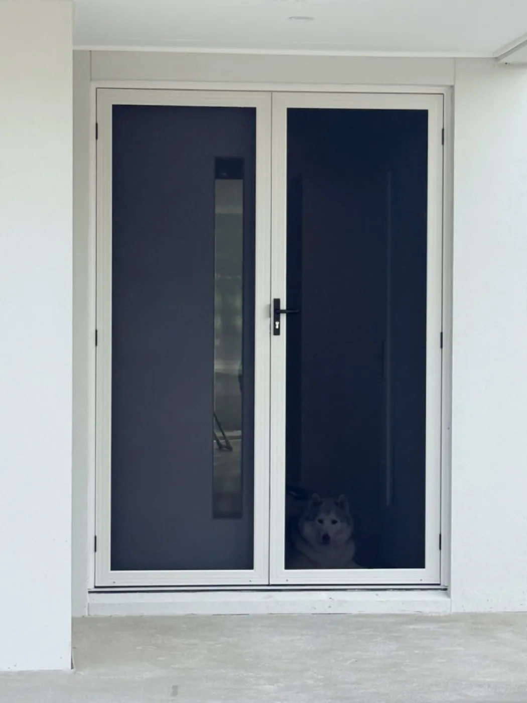 White French security doors keeping a husky safely inside