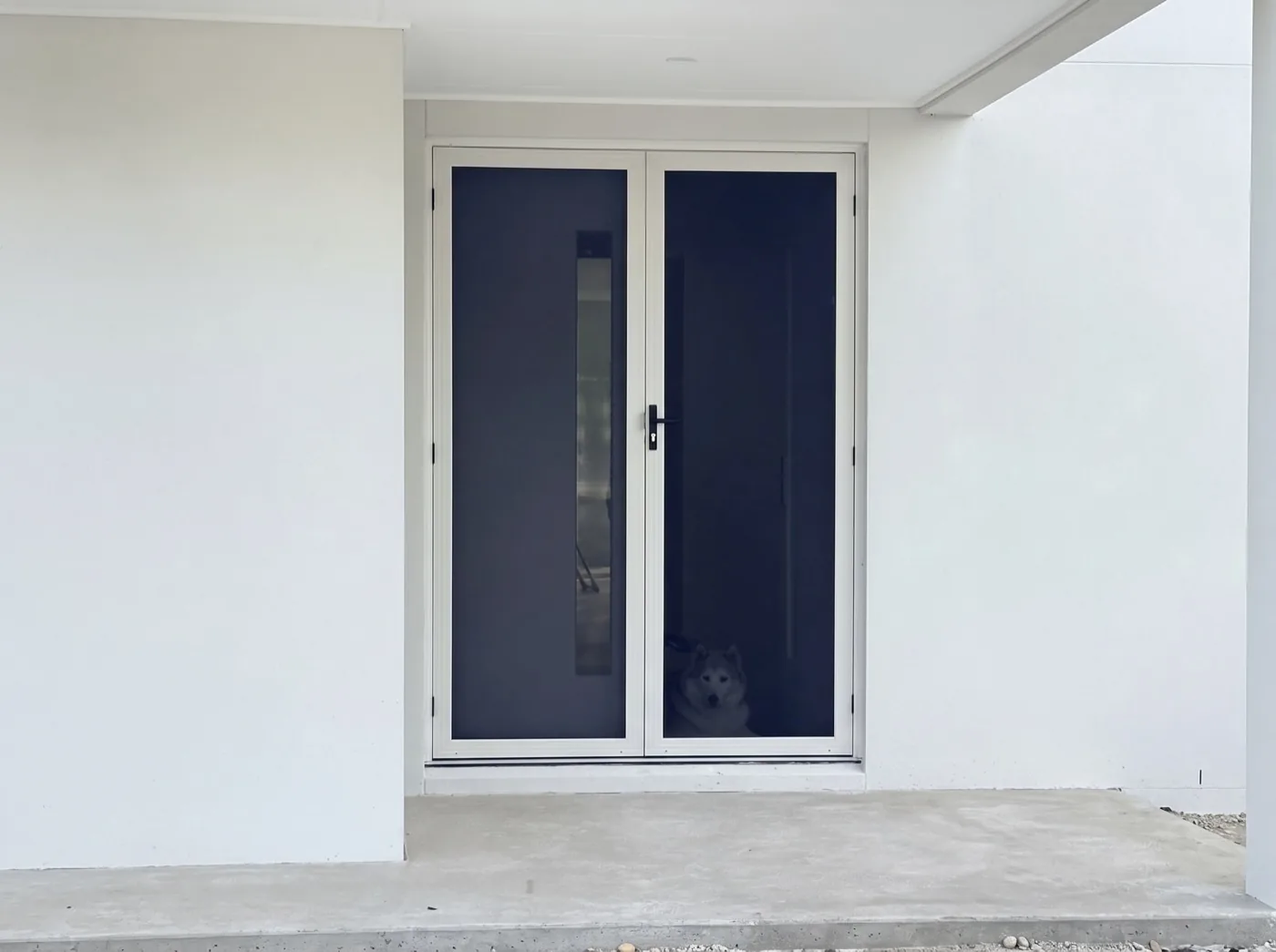 White French-style double security doors with black mesh on a modern Melbourne home